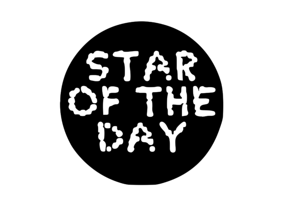 Maximizing Impact with the Good Job Sticker - Star of the Day V1